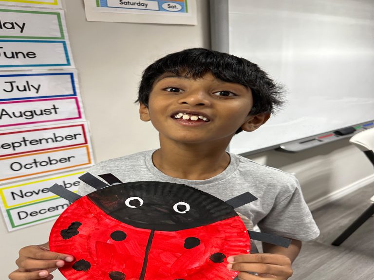 Akaash Ladybug